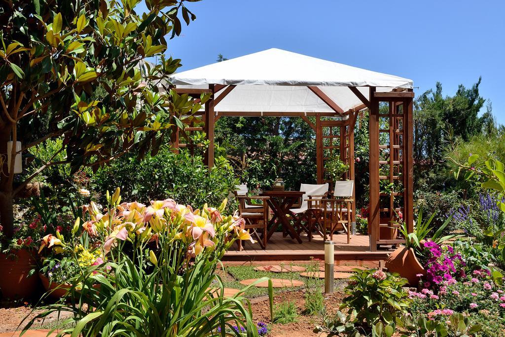 Stamatakis Boutique Studios Platanés Εξωτερικό φωτογραφία